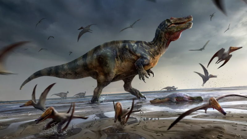 Europe’s largest carnivorous dinosaur species discovered on Isle of Wight