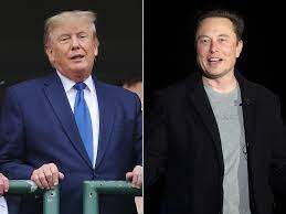 Report: Elon Musk could become a US policy adviser if Trump wins a second term in the White House
