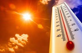 A yellow alert has been issued for Delhi, Uttar Pradesh, Bihar, Rajasthan, Haryana, and Chhattisgarh due to a heatwave.